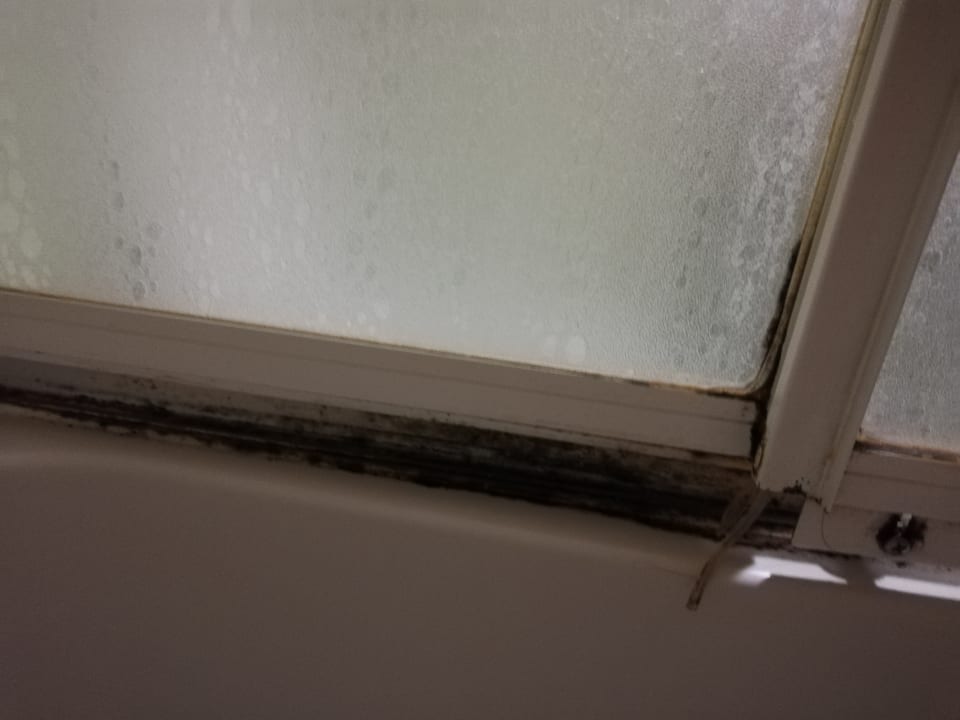 Zimmer Hotel Orfeus Park