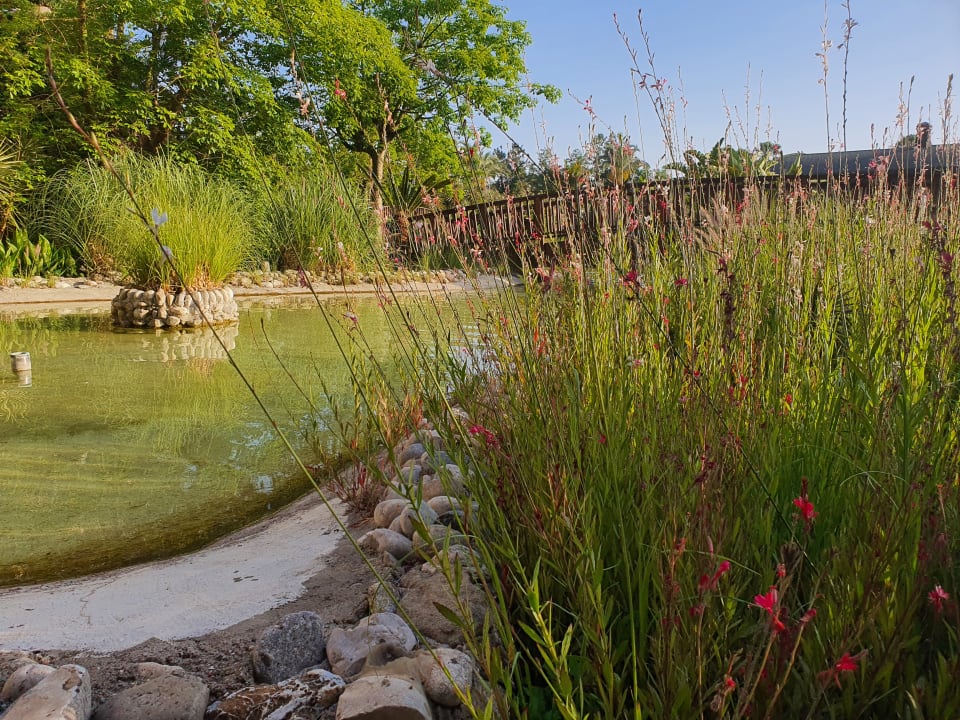 Gartenanlage Sunis Kumköy Beach Resort Hotel & Spa