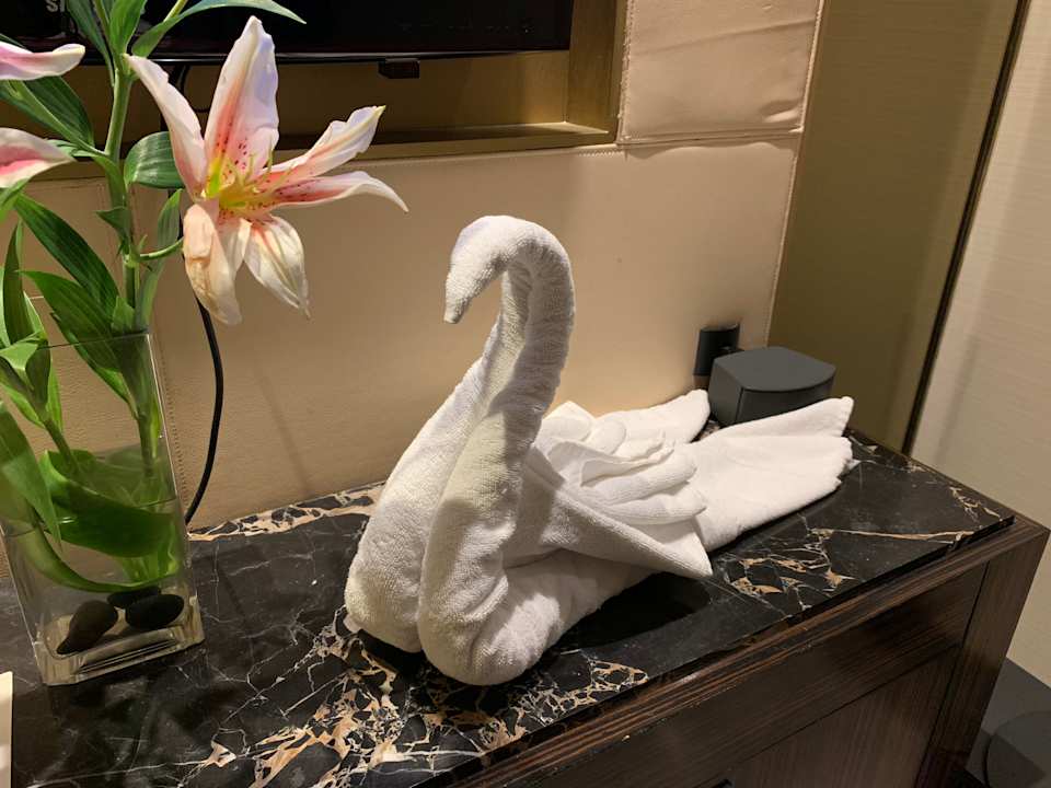 Zimmer Hotel Hyatt Ahmedabad