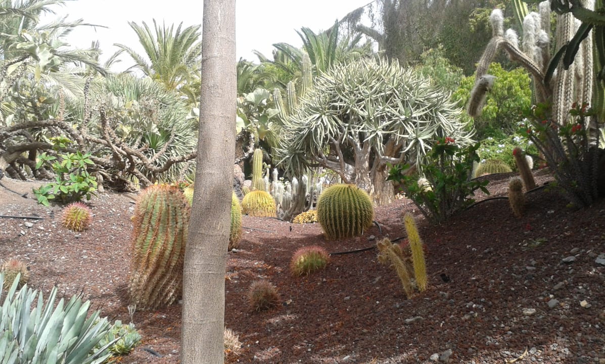 Sonstiges Club Hotel Drago Park