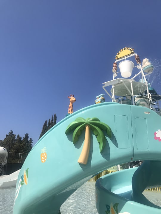 Sport & Freizeit Paloma Finesse