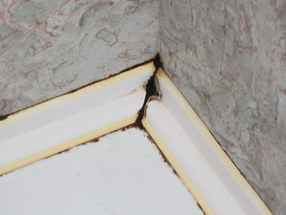 Schimmel Hotel Aktinia