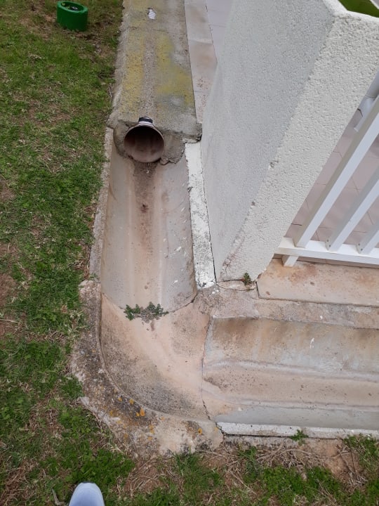 Zimmer blau punta reina