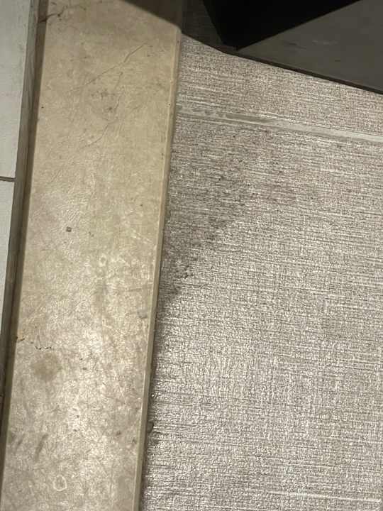 Zimmer Seaden Sea World Resort & Spa