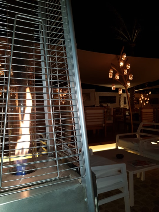 Sonstiges Desert Rose