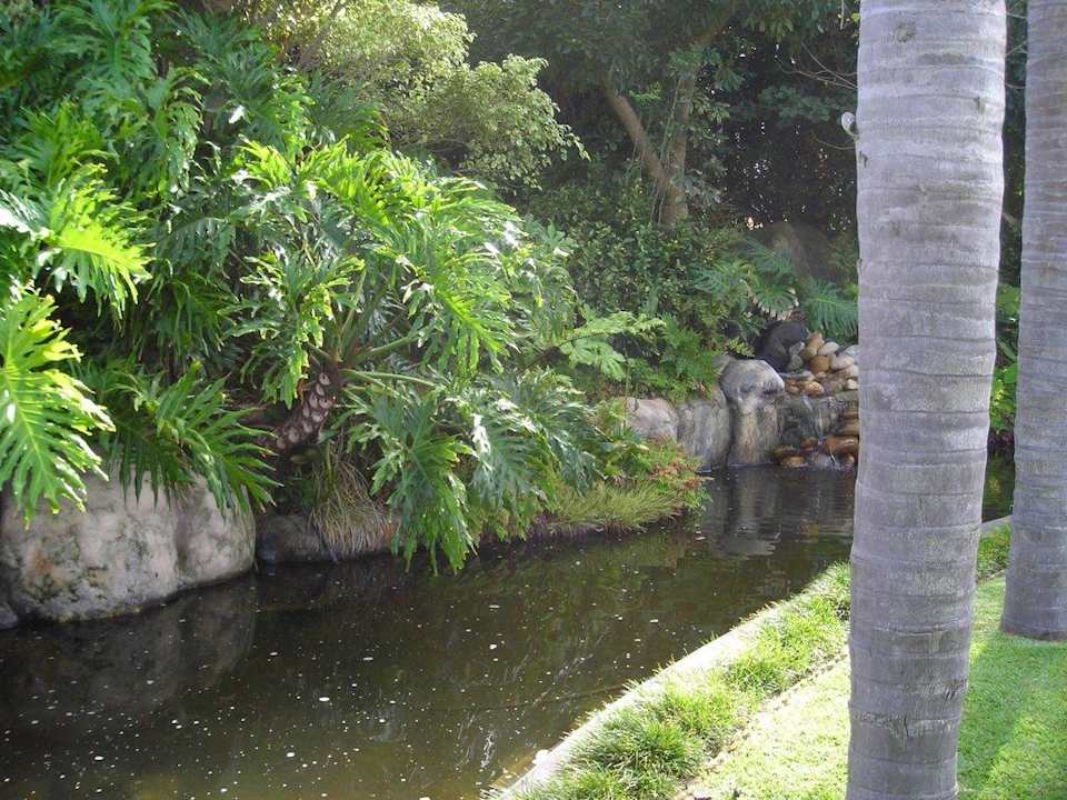 Constantia Palms Fischteich Bed & Breakfast Constantia Palms