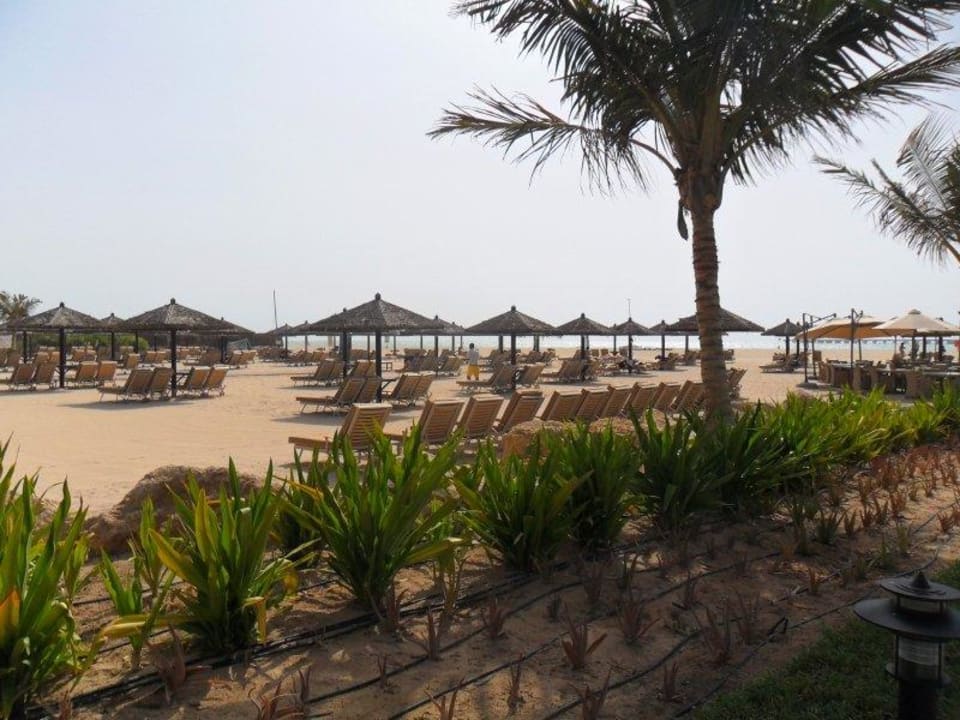 Strand Le Royal Méridien Beach Resort & Spa Dubai