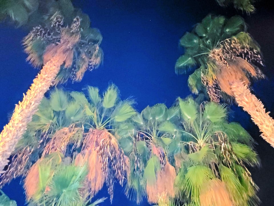 Gartenanlage Hotel Royal Garden Beach