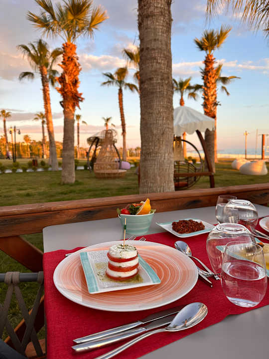 Gastro Serenity Queen Hotel