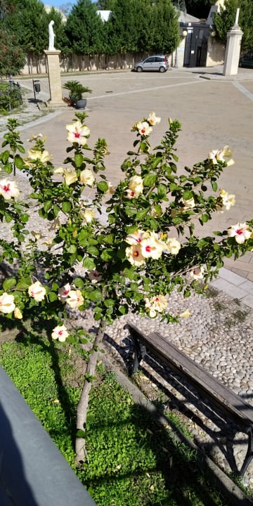 Sonstiges Aldiana Club Rocca Nettuno Calabria