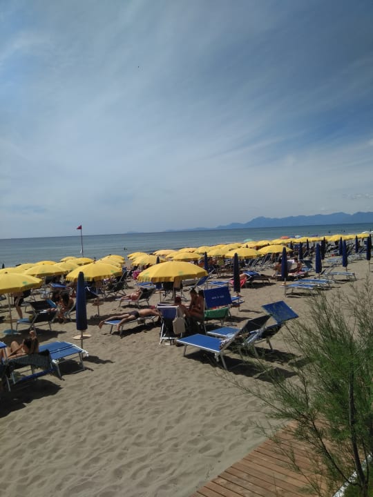 Strand Hotel Le Palme