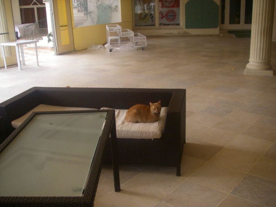Koty Riadh Palms Resort & Spa