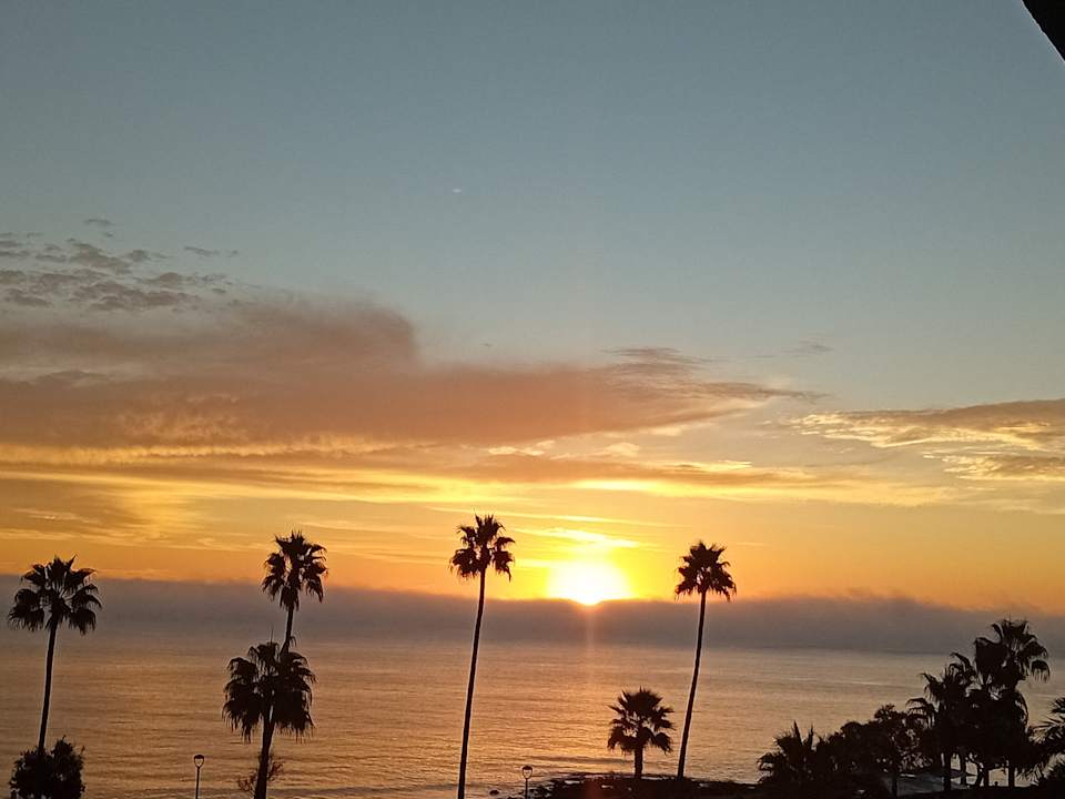 Ausblick Hotel Sabina Playa