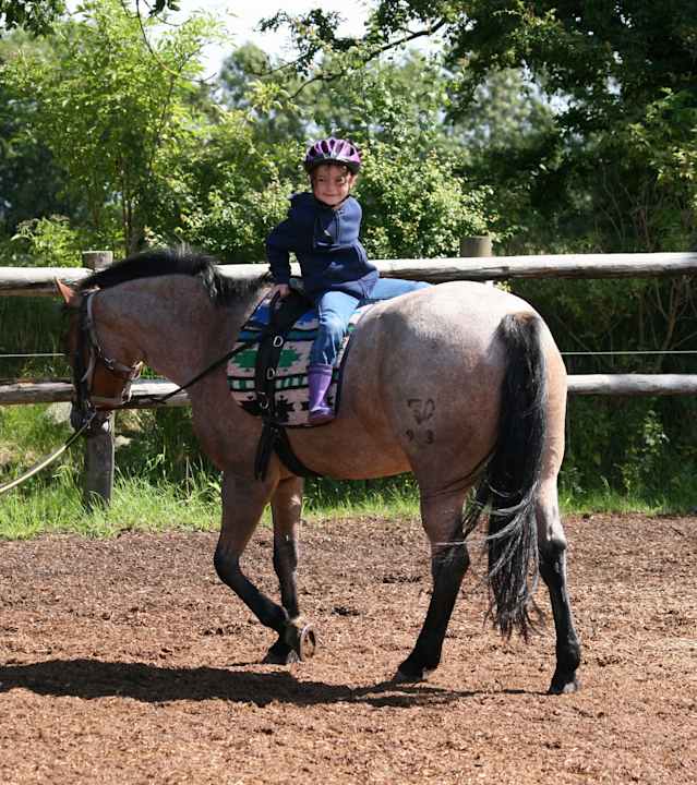 Ponyreiten Ferienhof Christian und Antje Hopp
