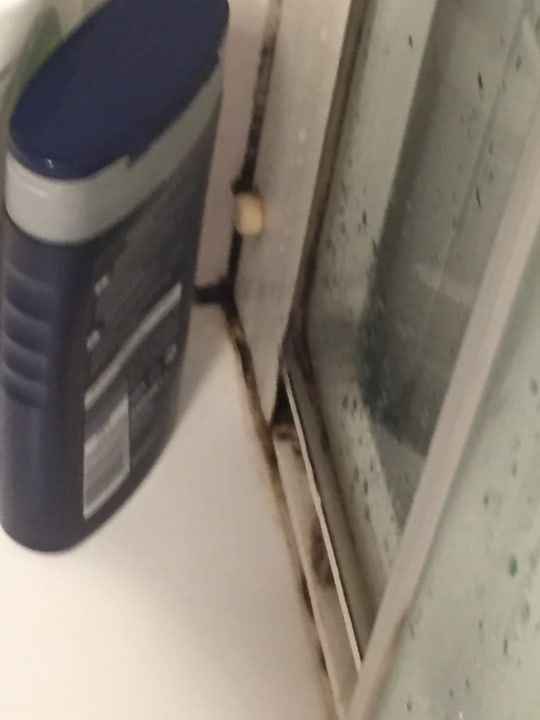 Zimmer Traveller Hotel