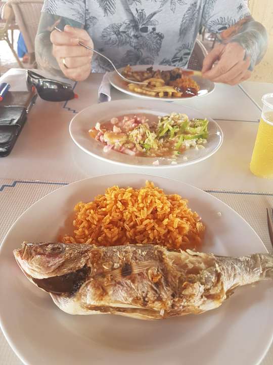 Gastro Hotel Roc Barlovento