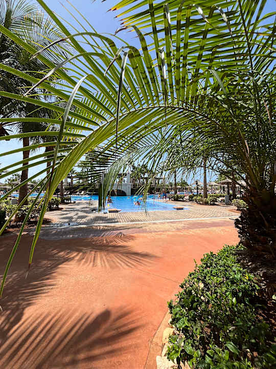 Pool Hotel Riu Touareg