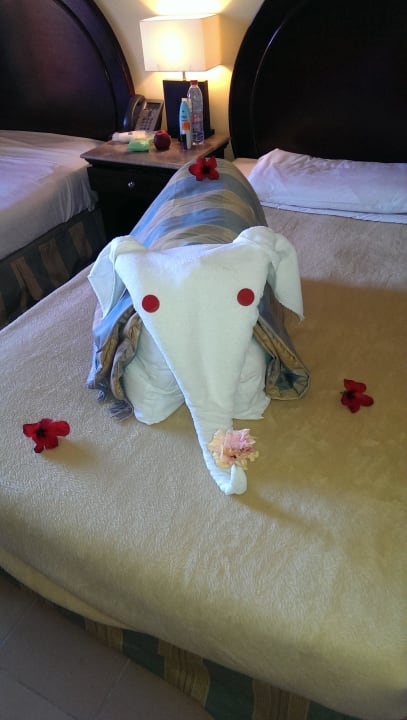 A gift from the cleaning staff  Stella Beach Resort & Spa Makadi Bay