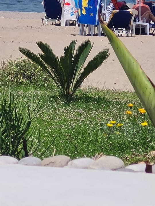 Strand Hotel Kathrin Beach