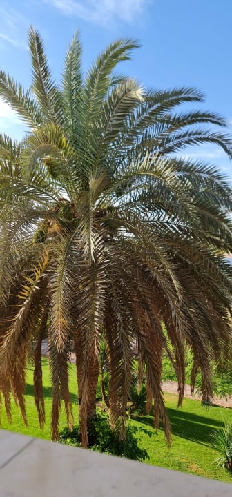 Außenansicht Steigenberger Coraya Beach - Adults only