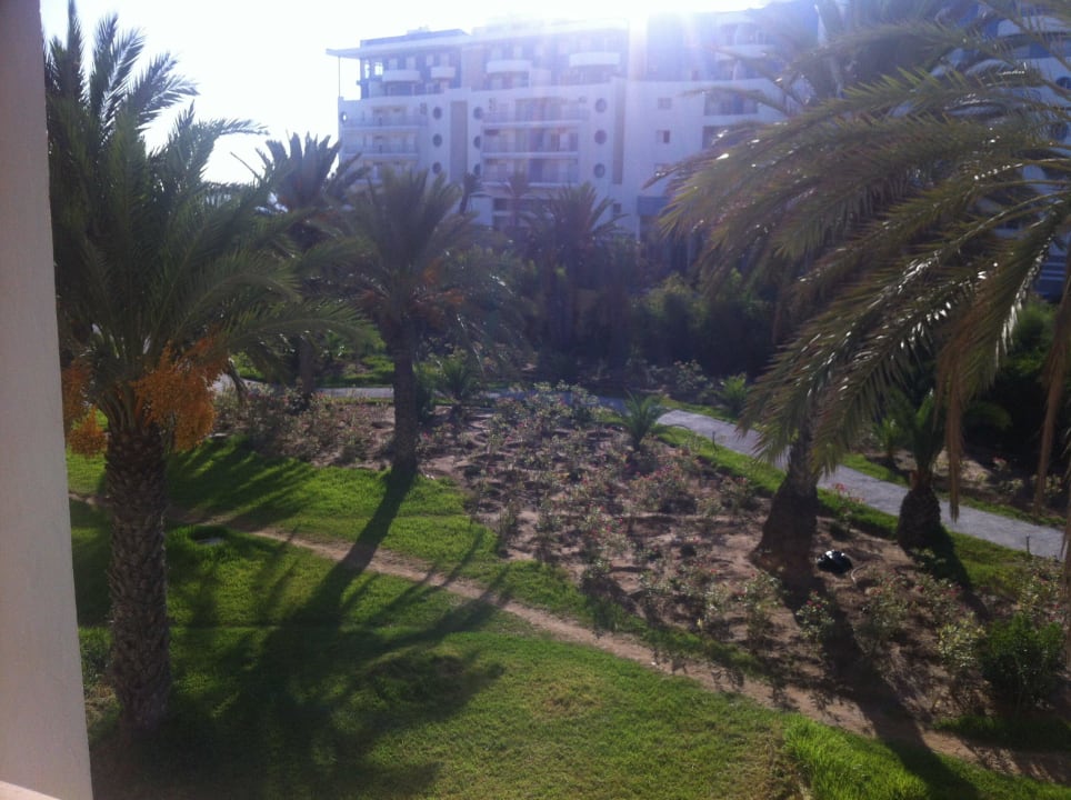 Ausblick Balkon Hotel Marhaba Club