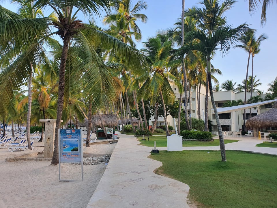 Gartenanlage Hotel Viva Dominicus Beach by Wyndham - All Inclusive Resort