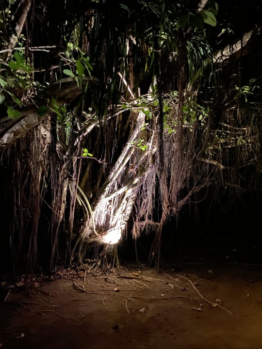 Gartenanlage Kuredu Island Resort & Spa