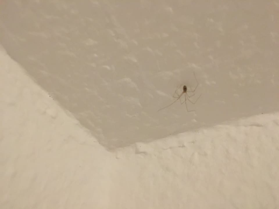 Zimmer Vogtlandblick-2