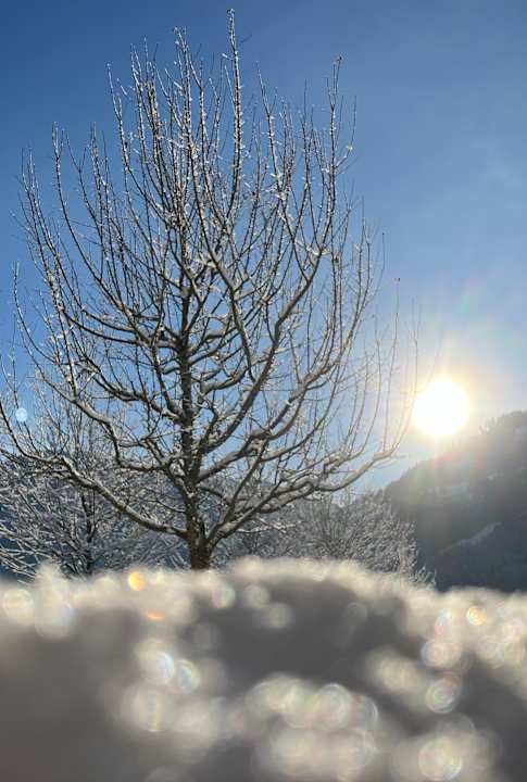 Gartenanlage Hubertus Hotel & Apartments