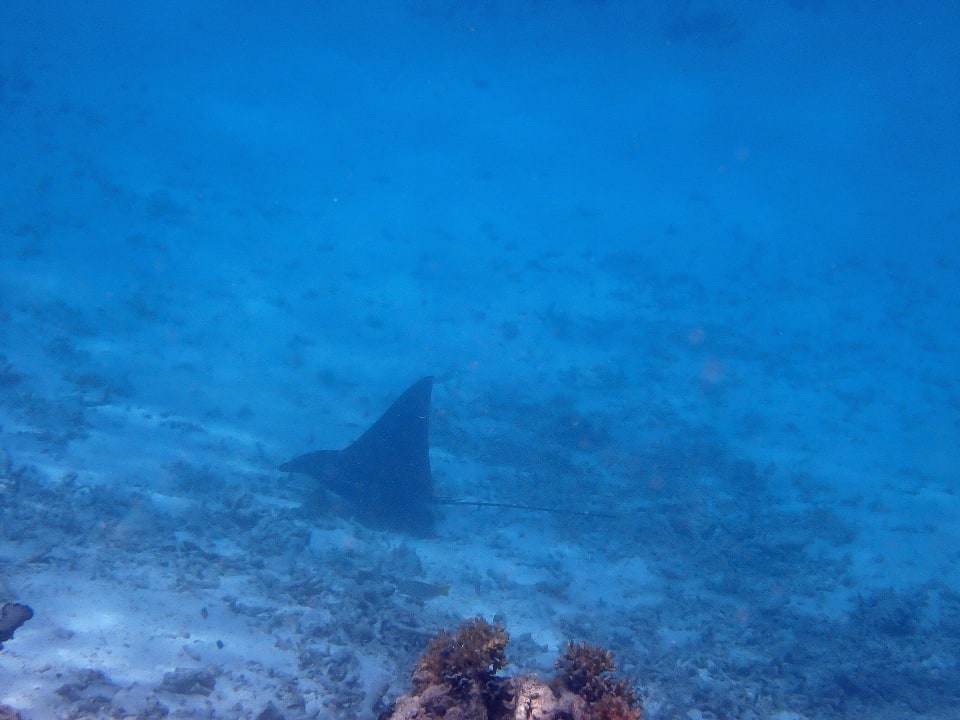 Sport & Freizeit Cinnamon Dhonveli Maldives