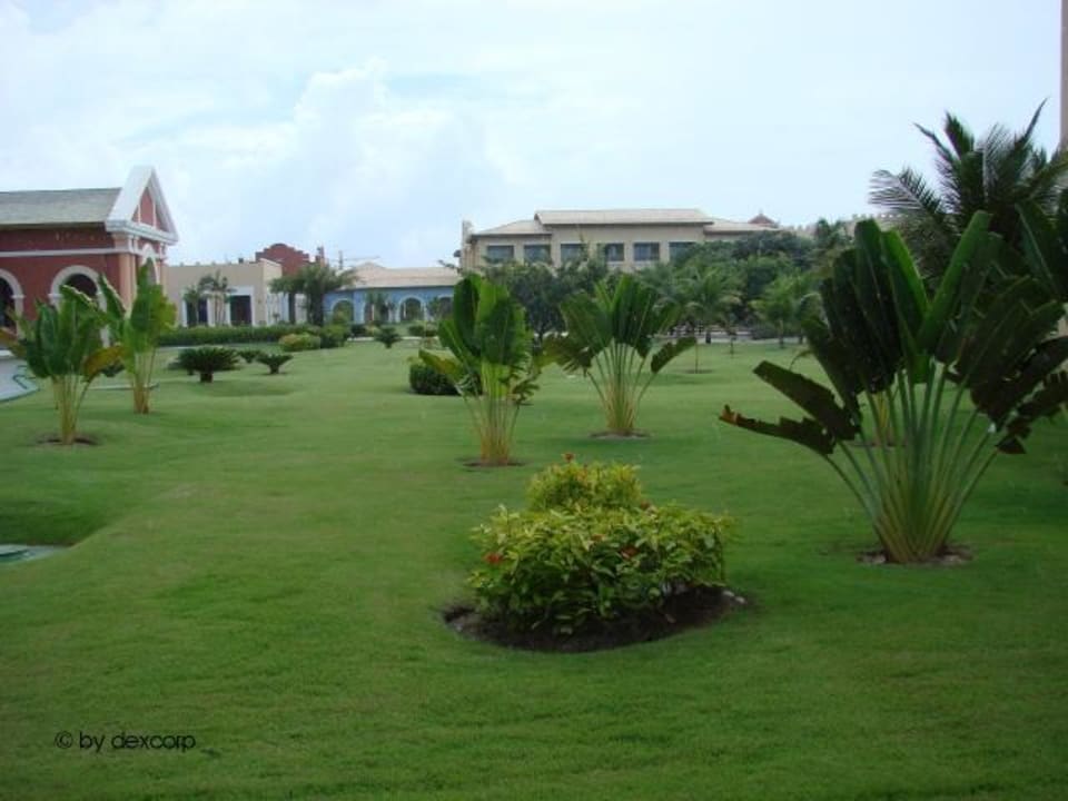 Gartenanlage im Iberostar Bahia Iberostar Waves Bahia