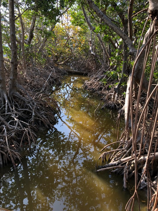 Außenansicht Hampton Inn Key West