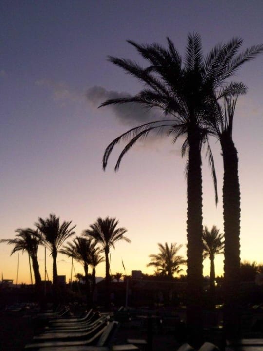 Sonnenuntergang Giftun Azur Resort