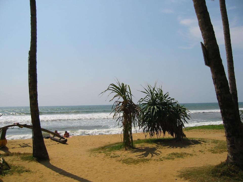 Verträumter Blick auf den Indischen Ozean Mermaid Hotel & Club