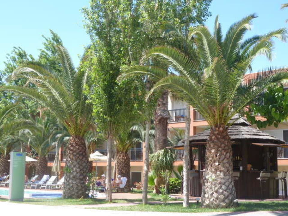 Poolbar Minos Mare Royal