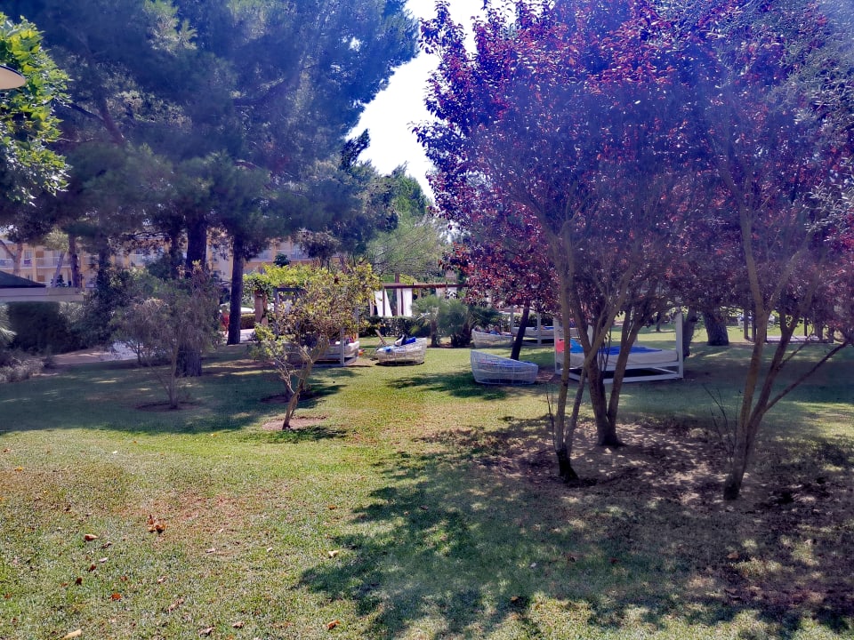 Garten Zafiro Mallorca