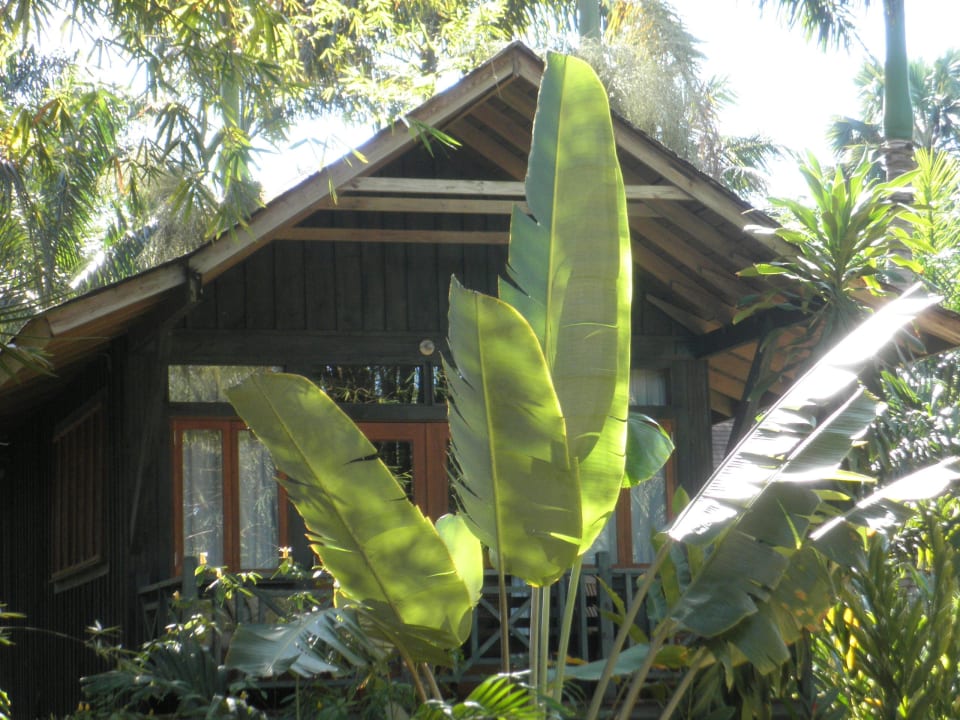 Bungalow 501/502 Sunset at the Palms Resort - Adults Only