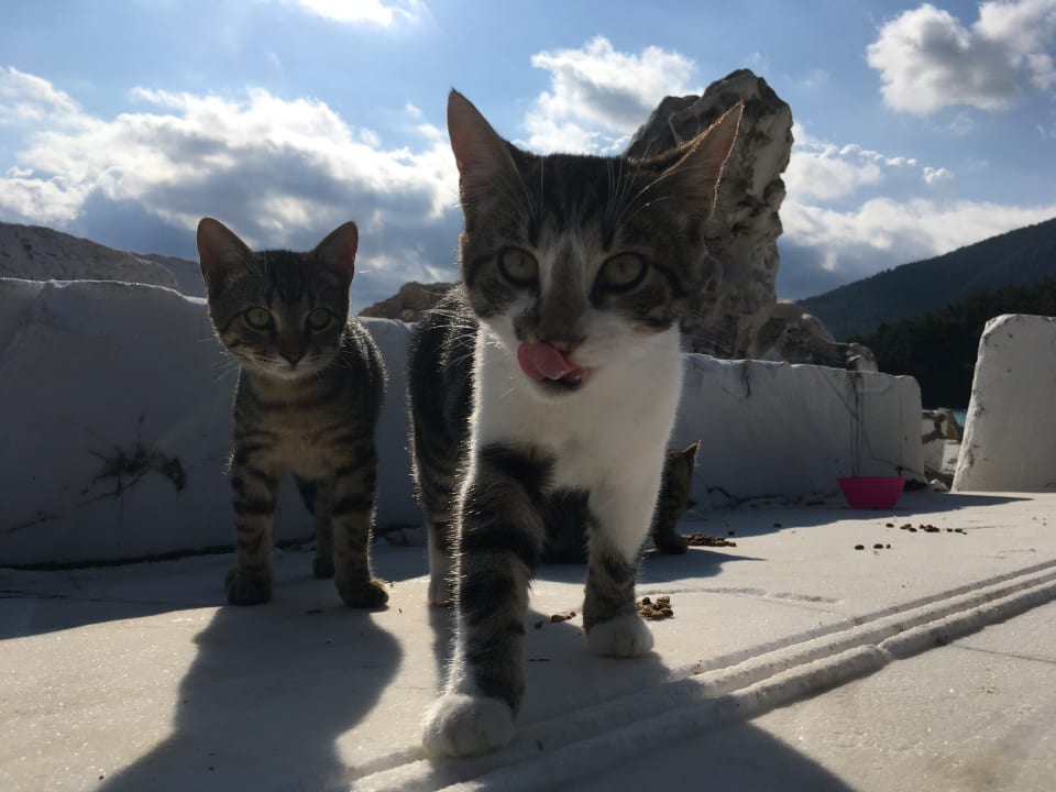 Sonstiges Hotel Makryammos Bungalows