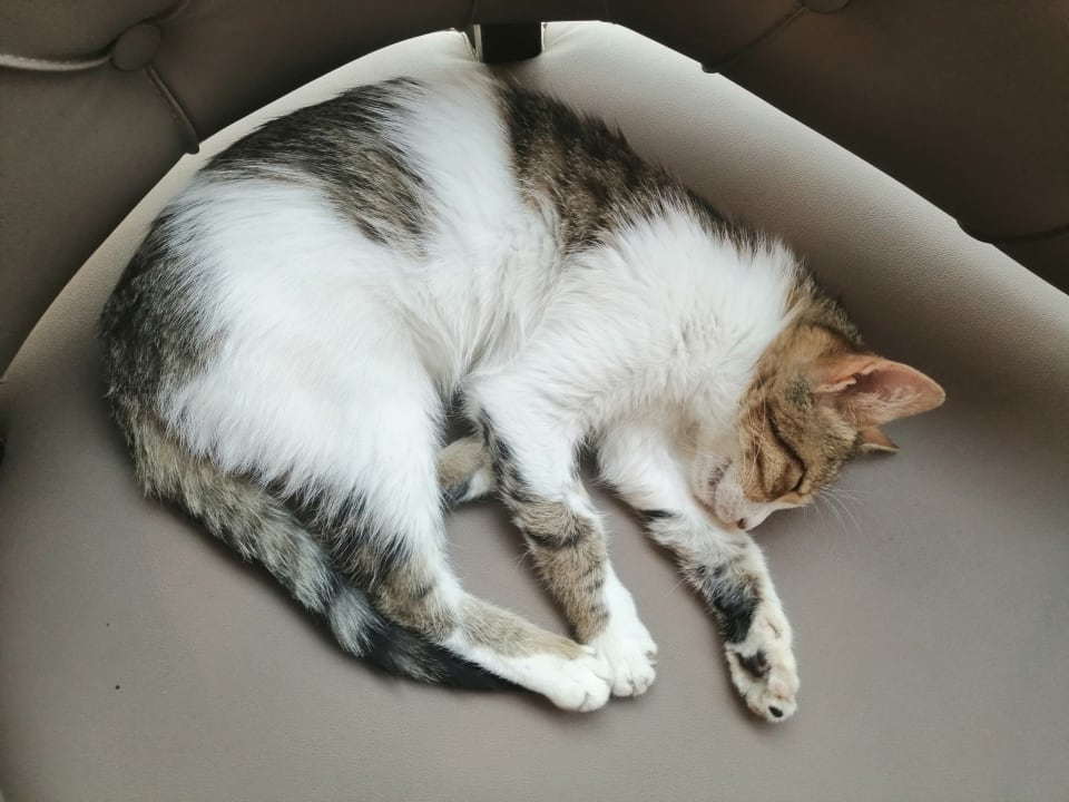 Sonstiges Limak Limra Hotel & Resort