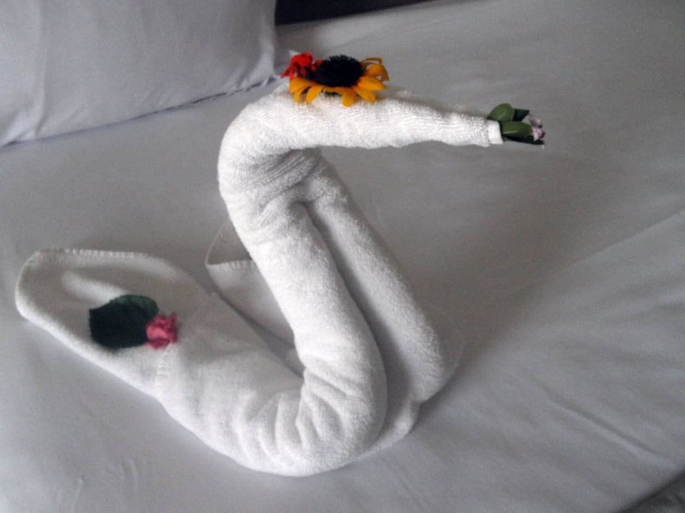 Mein einziges Bett-Tierchen TUI BLUE Palm Beach Palace Djerba