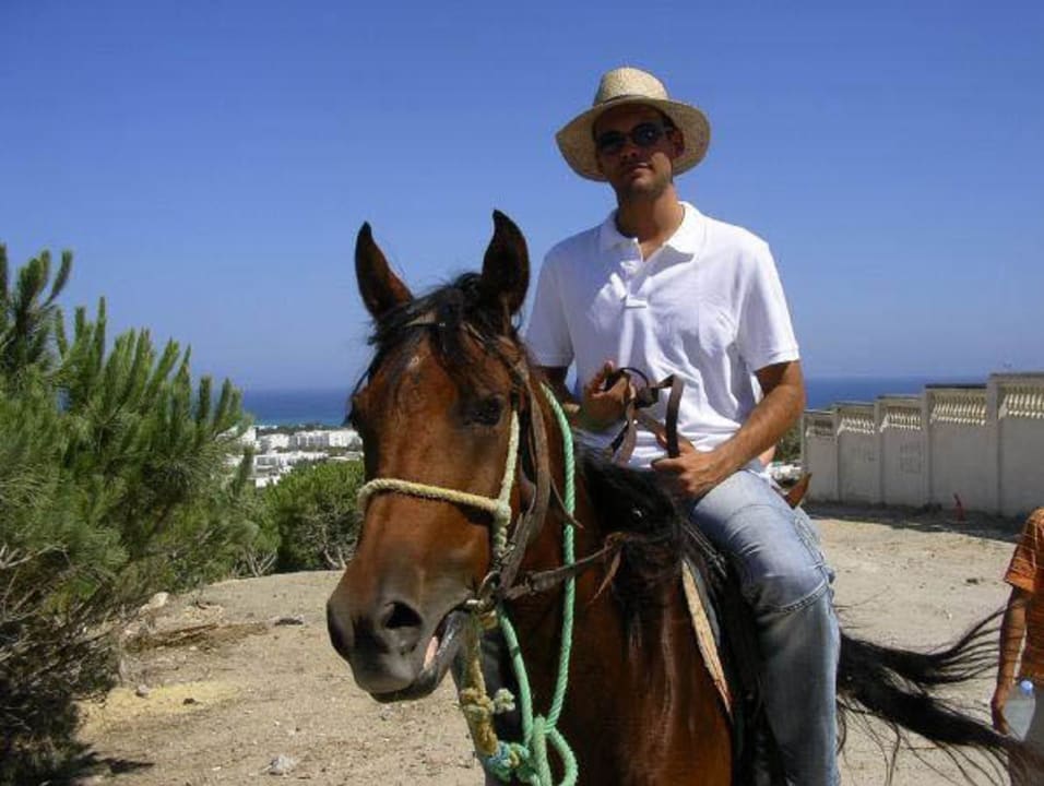 Eine Tour mit Arabern TUI BLUE Palm Beach Hammamet