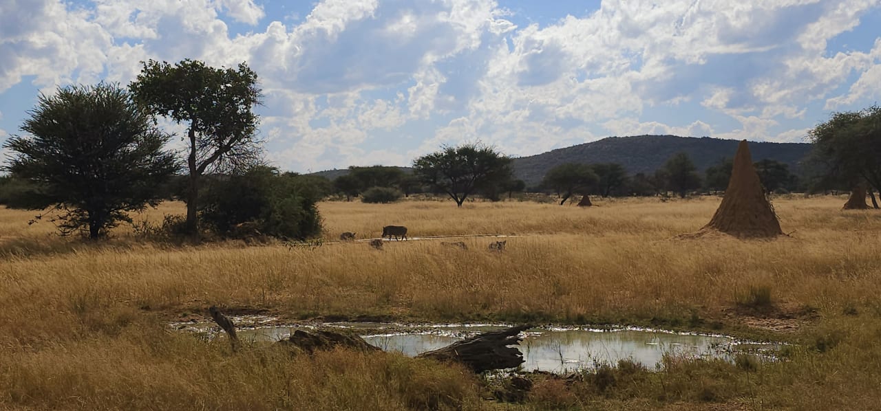 Ausblick Okonjima Bush Camp