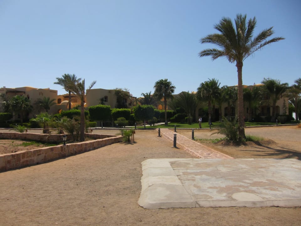 Wege Steigenberger Coraya Beach - Adults only