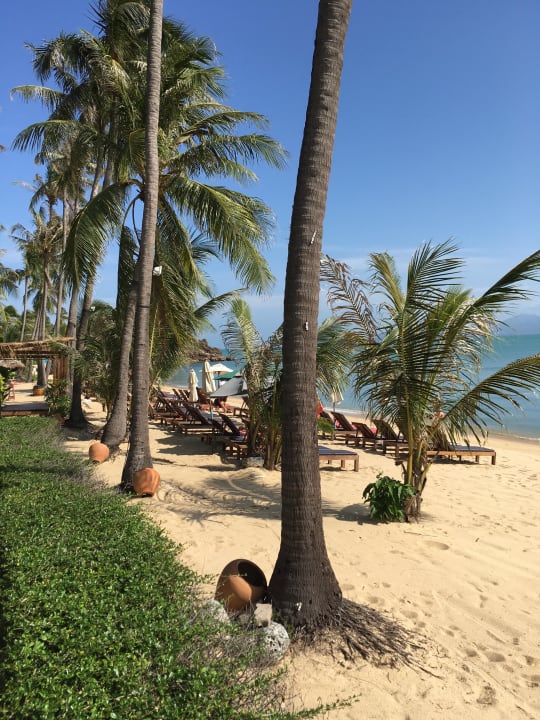 "Haus"Strand Coco Palm Beach Resort