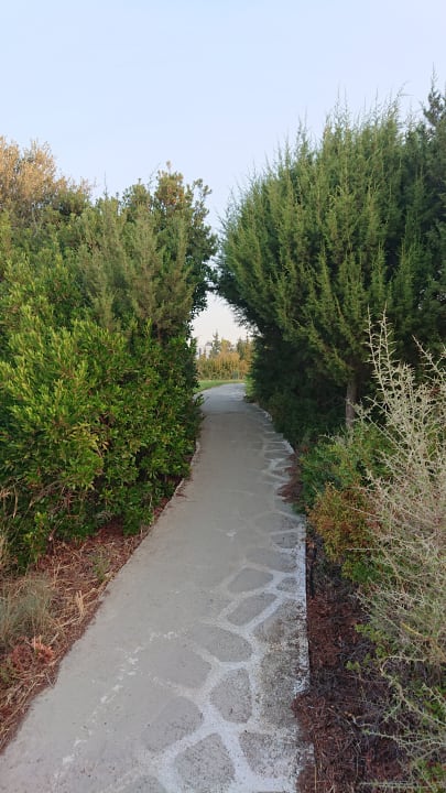 Strand Ekaterini Hotel