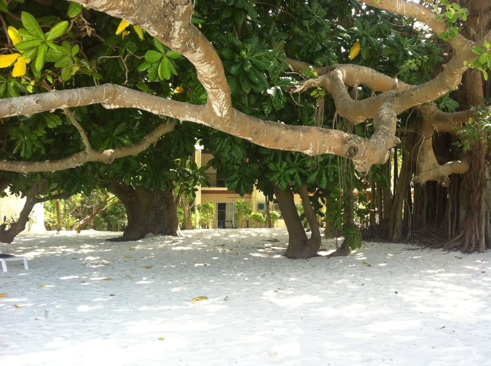 Schattenspender Biyadhoo Island Resort