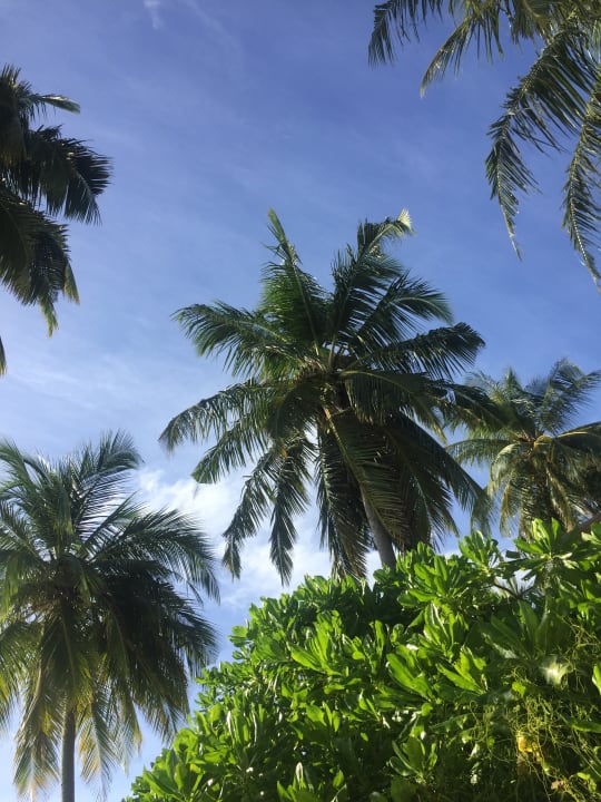 Sonstiges NH Collection Maldives Havodda Resort