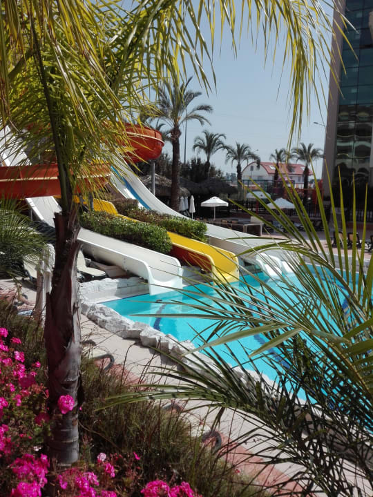 Pool Well Palace Side