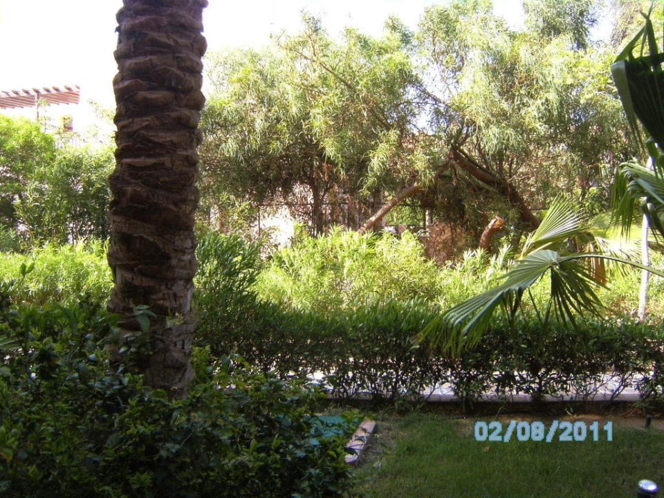 Ausblick Jaz Makadi Oasis Resort