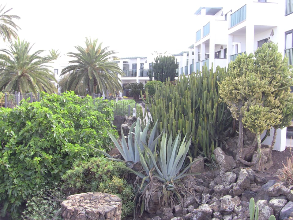 Außenansicht Hotel Las Marismas de Corralejo